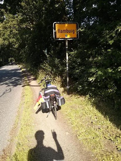 Stell Dir vor, es ist Hamburg, aber man sieht die Stadt vor lauter Bäumen nicht.