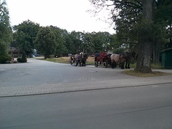 Leere Pferdekutschen warten am Freitag in Undeloh auf die ersten Wochenend-Touristen