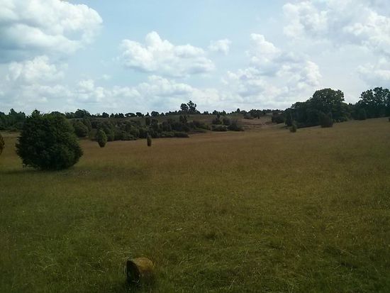 Heidelandschaft andere Wegseite