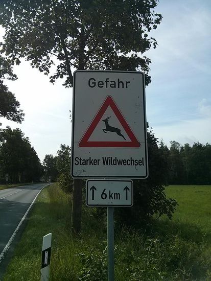 Man weiß ja nie, auch Mitte vormittags: also Augen auf, einen kleineren Gang aufgelegt, den linken Daumen an der Klingel und bremsbereit !