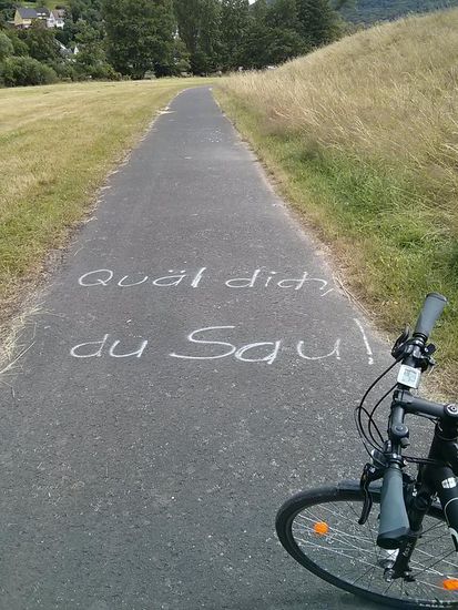 Korrektur zu meiner damaligen Handy-Tages-email: Es ging nicht um Erik Zabel, sondern um Jan Ullrich, der 1997 kurz vor seinem damaligen Tour de France-Sieg in den Vogesen schwächelte und deshalb von seinem "unkaputtbaren" Teamkollegen Udo Bölts mit diesen "schmeichelnden" 
Worten angetrieben wurde. Übrigens an dieser Stelle nur eine nicht-quälende "Kindergarten-Steigung". Und vor dem ganz hinteren Waldstück rechts oben dann der...