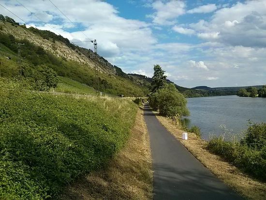 Am Main-Radweg zwischen Gemünden und Würzburg