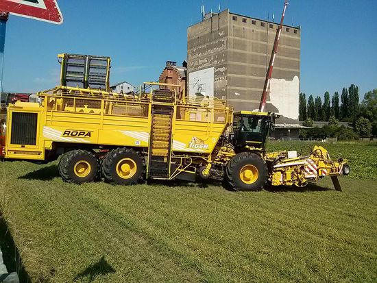 Für Landtechnik-Fans: Ein Rüben-Vollernter. Wenn man die Fahrerkabine über dem rechten Vorderrad betrachtet, werden einem erst die Dimensionen dieses Geräts bewußt.