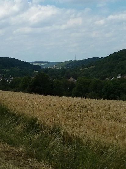 Hoch über dem Taubertal kurz nach Craintal