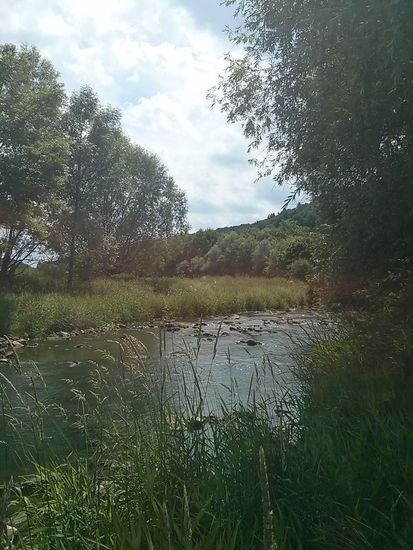 Direkt am Flußlauf der Tauber
