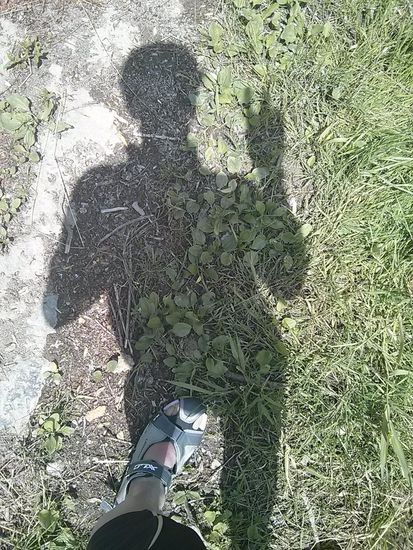 Hab erst bei einer spätern Bildbetrachtung bemerkt, daß ich meinem eigenen Schatten einen "A-tritt" verpasste. Sollte anscheinend bedeuten: "Fahr endlich mal weiter..."