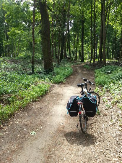 Ich denk, ich bin im Walde. Ja, im Frankfurter Stadtwald. Keine 10 m linkerhand verläuft die B3. Wenn auch zu diesem Zeitpunkt nur schwach frequentiert, war mir der wenn auch wellige, aber festgefahrene "Wald-Highway" doch lieber.