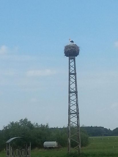 Auf den sog. "Hehneswiesen" bei Dieburg, einem Teil des Natura 2000 Netzwerkes der EU ein Mast zum Nisten für Störche.