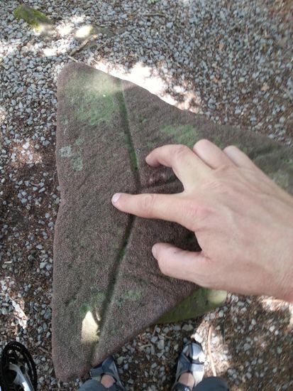 Der Grenzstein des 3-Länder-Ecks von oben abgelichtet. Der Daumen in Baden-Württemberg, der Zeigefinger in Hessen, die übrigen drei Finger im hochgelobten Bayern-Lande (do bin i dahoam !). Natürlich habe ich den Grenzstein in der kleinen Lichtung auch umschritten, damit ich jedes Bundesland komplett betreten hatte. Auf den Seiten des Grenzsteines sind übrigens die Initialien KB, GB und GH für Königreich Bayern, Großherzogtum Baden und Großherzogtum Hessen eingeschlagen.