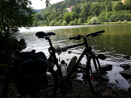 Eine der wenigen Stellen meiner Streckenführung am Neckar entlang, wo ein direkter Zugang zum Neckar möglich war.