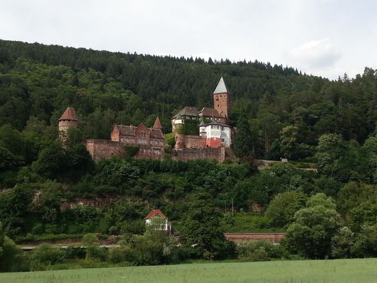 Schloss  Zwingenberg auf der Nordseite des Neckars. Eine Passantin, die mir auf meinem Weg entgegenkam, sagte mir auf meine Anfrage, daß dort der Prinz von Baden wohne.