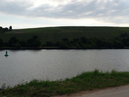 Gegenüber wird's schon hügeliger