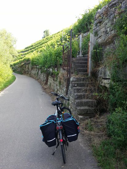 Steillagen-Weinbau bei Kirchheim