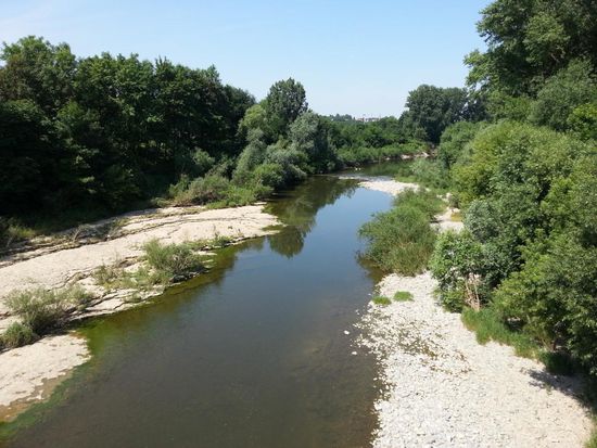 Blick von der Freiberger Neckarbrücke ins Naturschutzgebiet Altneckar