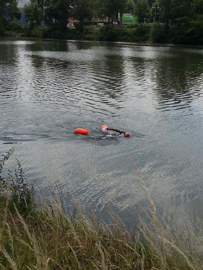 In etwa auf Höhe des Cannstatter Wasen erscheinen zwei Schwimmer mit auffälligen Anhängseln. Ein anderer Radler, den ich nach dem speziellen Bewandtnis frage, weiß, daß es sich um die zwei Neckarschwimmer handelt, über die seit Tagen groß in der Presse berichtet wird. Diese wollen den Neckar von der Quelle bei Villingen-Schwenningen (besser gesagt, von wo man drin schwimmen kann) bis zur Mündung in den Rhein bei Mannheim kraulend abschwimmen.