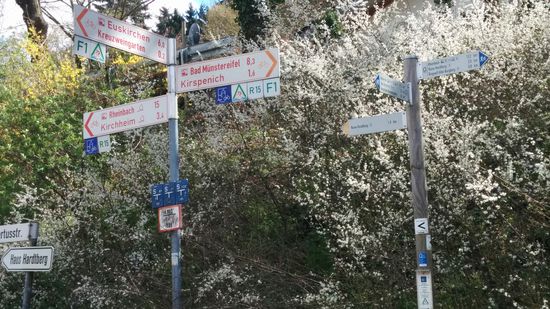 Radler- und Wanderer-Schilderwald in Kreuzweingarten am Erft-Radweg