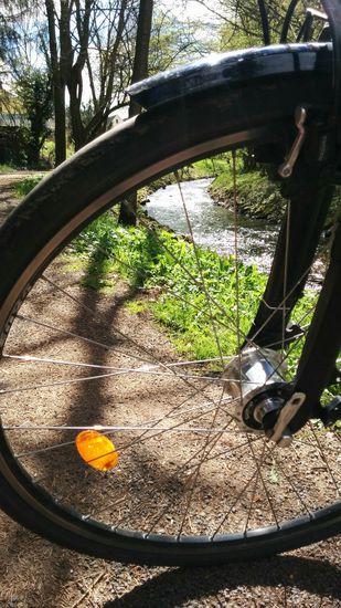 Speichen-Durchblick auf die Erft