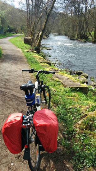 Ab Philippsheim ging's fast immer gemächlich flußabwärts am Kylltal-Radweg entlang