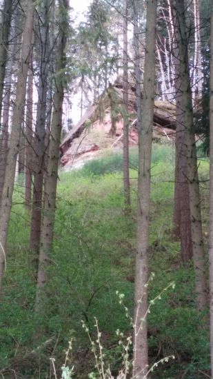 Hoch oben am Waldhang ein riesiger freistehender Felsblock (leider etwas schlecht zu erkennen)
