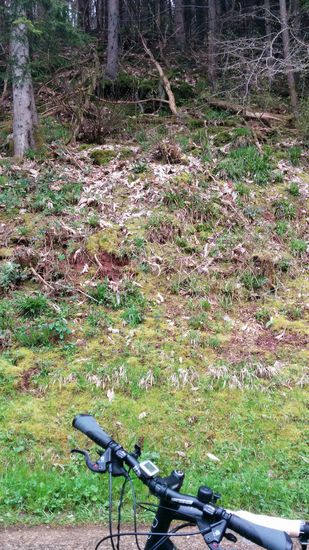 Von diesem Steilhang stammte das obige Gesteins-Projektil ohne irgendeinen Schaden zu verursachen. Hätte nicht gedacht, daß der Stein bis in die Mitte des Weges geraten könnte.