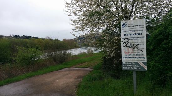 Und dann der erste Kontakt mit der Mosel in der Nähe des Trierer Hafens ca. 10 km flußabwärts der Stadt Trier.