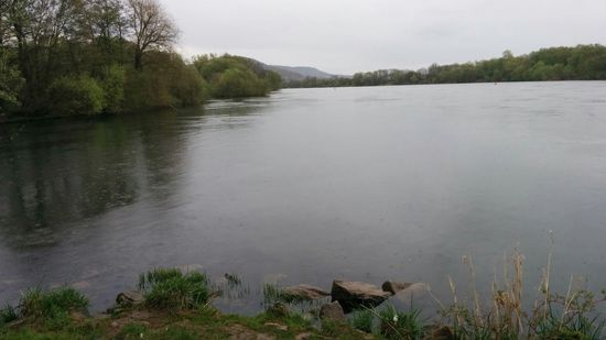 In anderer Richtung nach gut 100 m stromabwärts einem Trampelpfad entlang, die Mündung der von links ankommenden Kyll in die von rechts her nach oben strömende Mosel. Der Kylltal-Radweg hat auf natürliche Weise sein endgültiges Ende bei 
Trier-Ehrang erreicht. Und irgendwann wird die Mosel dann mit ihrem begleitenden Radweg am Deutschen Eck in Koblenz vom Rhein geschluckt.
Der Große "frißt" den Kleinen...