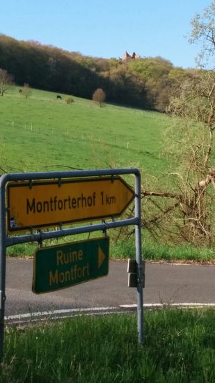 Wenige km weiter oben am Hang die Ruine Montfort