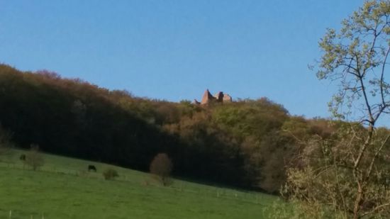 Die Ruine nochmal etwas vergrößert