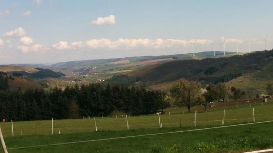 Blick vom Stahlberg runter ins Alsenztal. Hätte ich vorher auf die Ratschläge der "Eingeborenen" gehört, wäre ich vom Hintergrund her recht flach über das Alsenztal ins rechts vom Bild gelegene Dielkirchen (ca. 30 km Luftlinie nördlich von Kaiserslautern) angerollt gekommen, aber etwas Eigensinn darf auch sein.
Es ist einigemale vorgekommen, daß mir leichtere Wegführungen vorgeschlagen wurden, aber wenn ich mit nicht ganz unverkennbaren (ober-)bayrischen Zungenschlag entgegnete, daß ich den hügeligen Landschaftscharakter nicht nur optisch, sondern auch auf anstrengende Weise auskosten möchte, wurde mir wiederum entgegnet:
Ihrer Aussprache nach stammen sie ja aus Richtung Bayern oder Österreich - dann sind sie ja Berge gewöhnt...