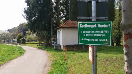 In Dielkirchen (Alsenztal) dann ein kurzes "ängstliches" Innehalten: Sollte ich nicht lieber auf ein Stück Straße ausweichen?  
Ein recht gesprächiger Anlieger vor seinem Haus winkte aber gleich ab und sagte, daß vor ca. 3 Jahren angeblich ein Passant attackiert worden wäre und die Ordnungsbehörde aus versicherungstechnischen Gründen in dieses Schild investiert hätte. Mit viel Glück könnte ich den Bussard etwas weiter vorne auf einem Baum auf mich kleinen Feigling gelangweilt herunter"lachen" hören und sehen...