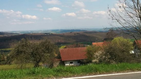 Aussicht während der Abfahrt in Richtung Osten bei Dannenfels.