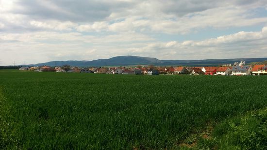 Blick zurück auf den bereits beschriebenen Donnersberg aus Nähe Göllheim