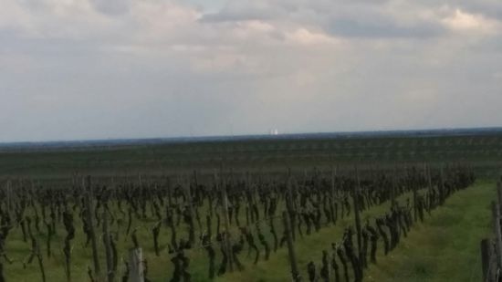 Während der Radweg direkt durch ein Weinanbaugebiet bei Kirchheim an der Weinstraße geleitet wurde, traf ich auf einen Jungwinzer, der gerade während einer kurzen Pause auf eine neue Dünger-Lieferung von seinem Chef wartete. Ich bat ihn um eine kurze Geländetaufe. Also hier in der Ferne ein weißer und gleich links davon ein grauer Kühlturm vom Kernkraftwerk Philippsburg, das ca. 30 km nördlich von Karlsruhe liegt. Von hier aus ca. 35 km (jeweils Luftlinie - also weite Sichtverhältnisse). Übrigens ist ein Reaktor bereits heruntergefahren, aber angeblich noch nicht endgültig abgeschaltet, der zweite soll bis ca. 2019 gefahren werden.