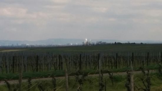 Im linken Anschluß ans obige Bild etwa mittig die Richtung Mannheim (gut 20 km, sieht näher aus), nach links übergehend nach Ludwigshafen (knapp 20 km)