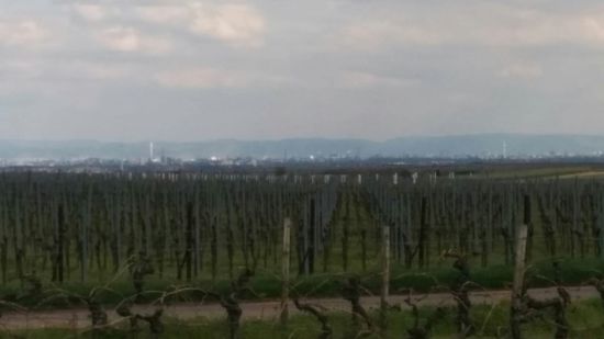 Hier nochmal von rechts nach links die Region Mannheim nach Ludwigshafen (mit der BASF). Im Hintergrund der obigen Bilder sieht man jetzt deutlich die Höhenzüge des Odenwaldes (gut 35 km).