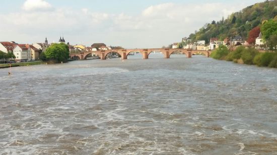 Die "Alte Brücke" nochmals von der Schleuse Heidelberg aus gesehen.