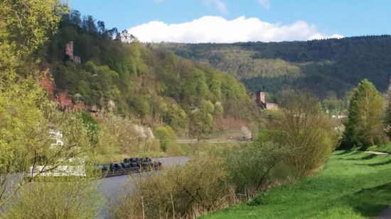 Links oberhalb des Lastschiffs Burg Schadeck und weiter rechts in Bildmitte die Hinterburg (auch "Alt-Schadeck" genannt) kurz vor Neckarsteinach.
