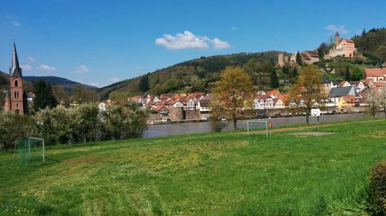 Der letzte siedlungstechnische Höhepunkt vor meiner aktiven Endstation in Eberbach ist das landschaftlich absolut reizvoll gelegene Hirschhorn.
Links die evangelische Kirche, rechts oben Schloß Hirschhorn, schräg darunter am rechten Bildrand mit rotem Dach und schwarzen Türmchen das Karmeliterkloster und dazu schräg links unterhalb mit grauem Dach und großem Turm die katholische Pfarrkirche. Bitte rechts oben den Doppelpfeil zum Vergrößern anklicken.