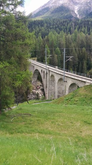 Wenig weiter wiederum ein Bahn-Viadukt der selben Strecke nach Scuol (Schuls), an dieser Stelle über den Inn. Gut 5 km nach S-Chanf kurz vor der Ortschaft Brail gibt es die Punt Ota (Hohe Brücke) eine hölzerne Brücke für den Langsam- und Forstverkehr mit unterlegtem Stahlverbau, die als Trennlinie vom Ober- ins Unterengadin gilt. Da ich von dieser Brücke erst jetzt gegen Ende Juni beim Nachbearbeiten der Tour und Ausarbeiten des Berichts ohne Namen zu nennen, per Online-Lexikon, Online-Kartendienst, Auto-Atlas (Printversion !) und Detailerinnerungen anhand der zahlreichen Fotos von dieser Brücke Kenntnis genommen habe, gibt es davon leider kein Bild - sie wäre so nah neben meinem Rollweg verlaufen. Wer sie trotzdem sehen will: "Punt Ota Zernez" in der bevorzugten Suchmaschine eingeben.