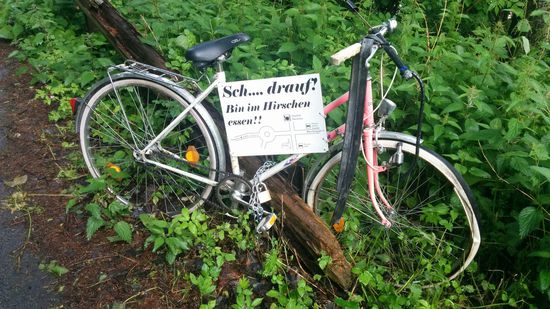 Cycling-Desaster-Monument: Gestellter Kapitalschaden am Radweg kurz nach Pfunds. Hauptsache gegen schnellen Diebstahl angekettet 