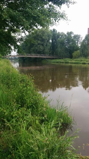 Die Mangfall vom Mündungspunkt aus gesehen. über den Steg bin ich dann später auf die gegenüberliegende Seite gewechselt.