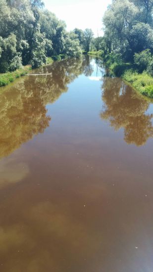 Die Attel mit etwas anderem Lichteinfall, aber noch immer nicht von ästhetischer Farbgebung und nicht wirklich appetitlich wirkend.