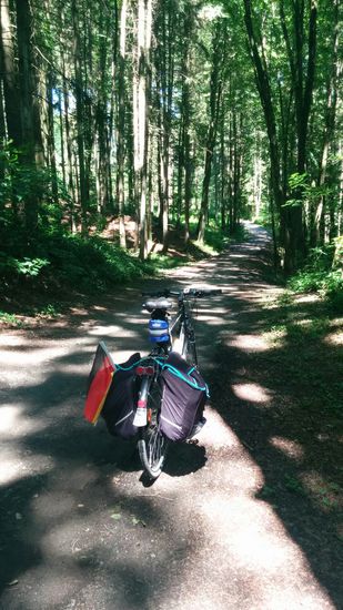 Ich denk, ich bin im Walde !
Hurra und Gott sei Dank etwas kühlender Schatten, denn die Hitze geht mir immer mehr auf den Geist.
Dieser unbefestigte Waldweg ist auf einige km der offizielle Innradweg und ist für mich durch seinen welligen Verlauf direkt am Inn entlang einer der schönsten Abschnitte der gesamten Inntour. Da ich diesen Weg ab Neuhaus vor mehreren Jahren bereits im Rahmen einer anderen Wegführung von meiner Ortschaft Feldolling nach Passau gefahren bin, habe ich mich auf dieses bereits bekannte Teilstück so richtig gefreut !