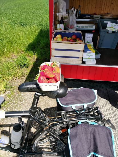 Am Ortsende von Neckartenzlingen gibt's für den Körper eine Kaliumspende in Form einer Schale mit einer Sorte sehr groß gewachsener Erdbeeren.