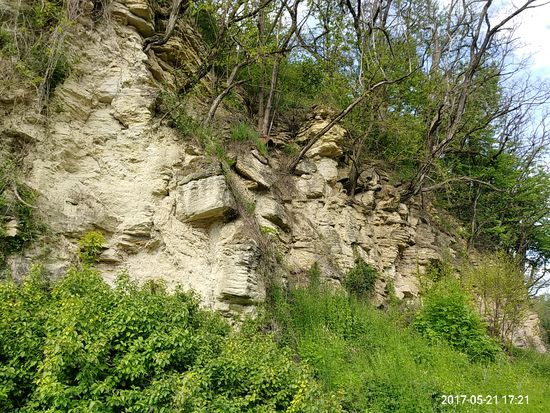 Entlang eines felsigen Hanges ein kurzes Stück hinter Rottenburg.