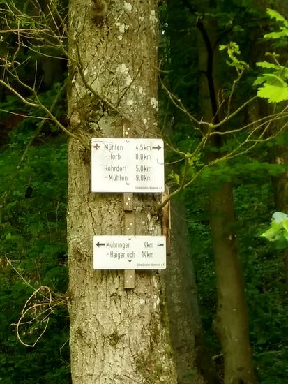 Noch 8 km bis Horb. Die dortige Unterkunft hatte ich kurz vorher auf Höhe von Bieringen über das Handy-Internet mittels einer Telefonliste von Unterkünften auf einer örtlichen Tourismus-Seite ausfindig gemacht.