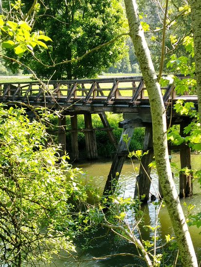 Ebenfalls gleich bei Neckarhausen eine 37 m lange historische Pfahljochbrücke aus dem Jahre 1780 über den Neckar, eine der ältesten Brücken Süddeutschlands. Sie lag zwar nicht direkt auf meinem Weg, aber da das mittlere Joch an der Grenze zwischen Nord- und Südbaden liegt, ließ ich mir die Gelegenheit für eine "historische" Fahrt über die Brücke und wieder zurück dann doch nicht entgehen. In der Folge noch einige Bilder dieser Brücke.