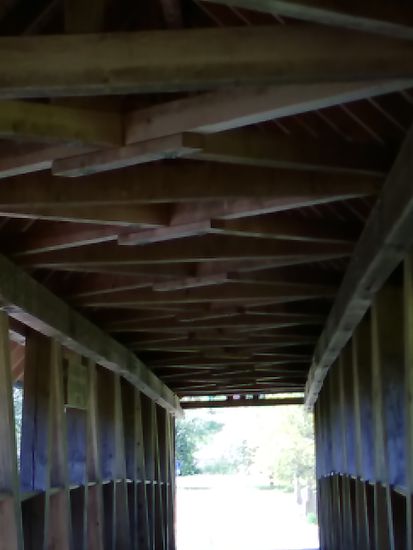 Baumaterial: Weißtanne und Lärchen-Holzschindeln