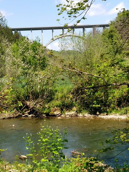 Rückblick auf die Neckarburgbrücke