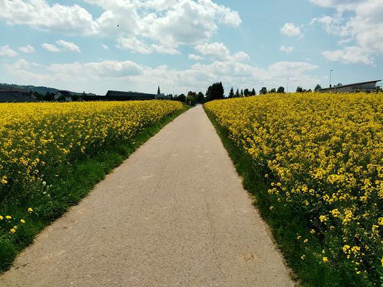 Immer schön vorwärts, gerade aus und gelb eingerahmt.